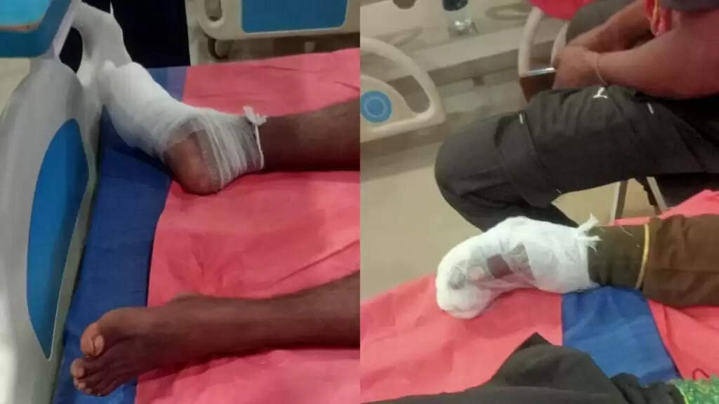 छत्तीसगढ़ की सीमा पर एसटीएफ के 2 जवान आईईडी की चपेट में आने से गंभीर घायल