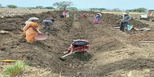 अनूपपुर: पुष्पराजगढ़ में ‘जल गंगा संवर्धन अभियान’ से हो रहा है नहर सुदृढ़ीकरण