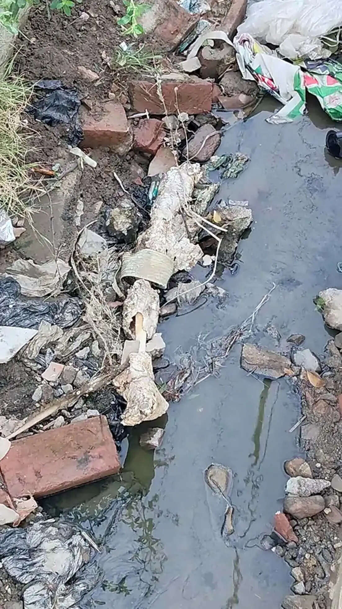 हिसार के बरसाती नाले में मिली महिला की कटी हुई टांग, क्षेत्र में सनसनी