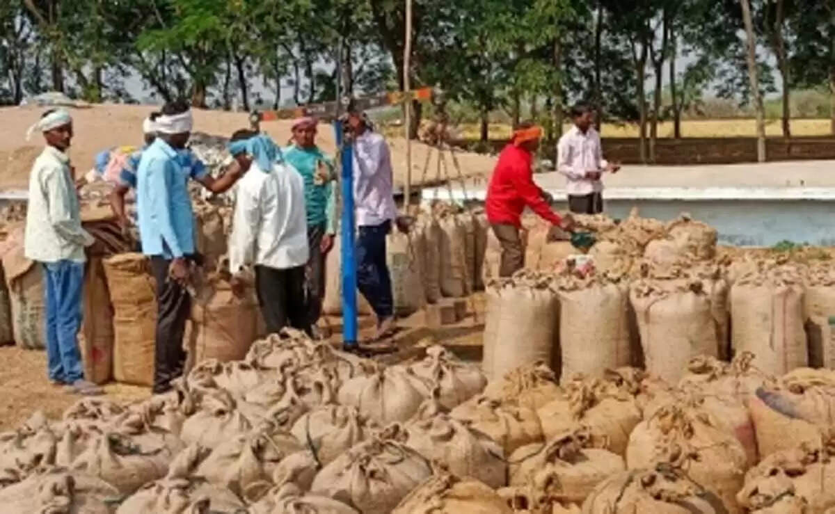 छत्तीसगढ़&nbsp;में&nbsp;समर्थन मूल्य पर हाे&nbsp;रही&nbsp;धान खरीद में अनियमितता, 38 कर्मचारियों पर हुई कार्रवाई