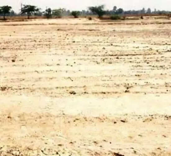 ऊसर भूमि को उपजाऊ बनाने के लिए गर्मी माह सबसे उपयुक्त : डॉ. खलील खान