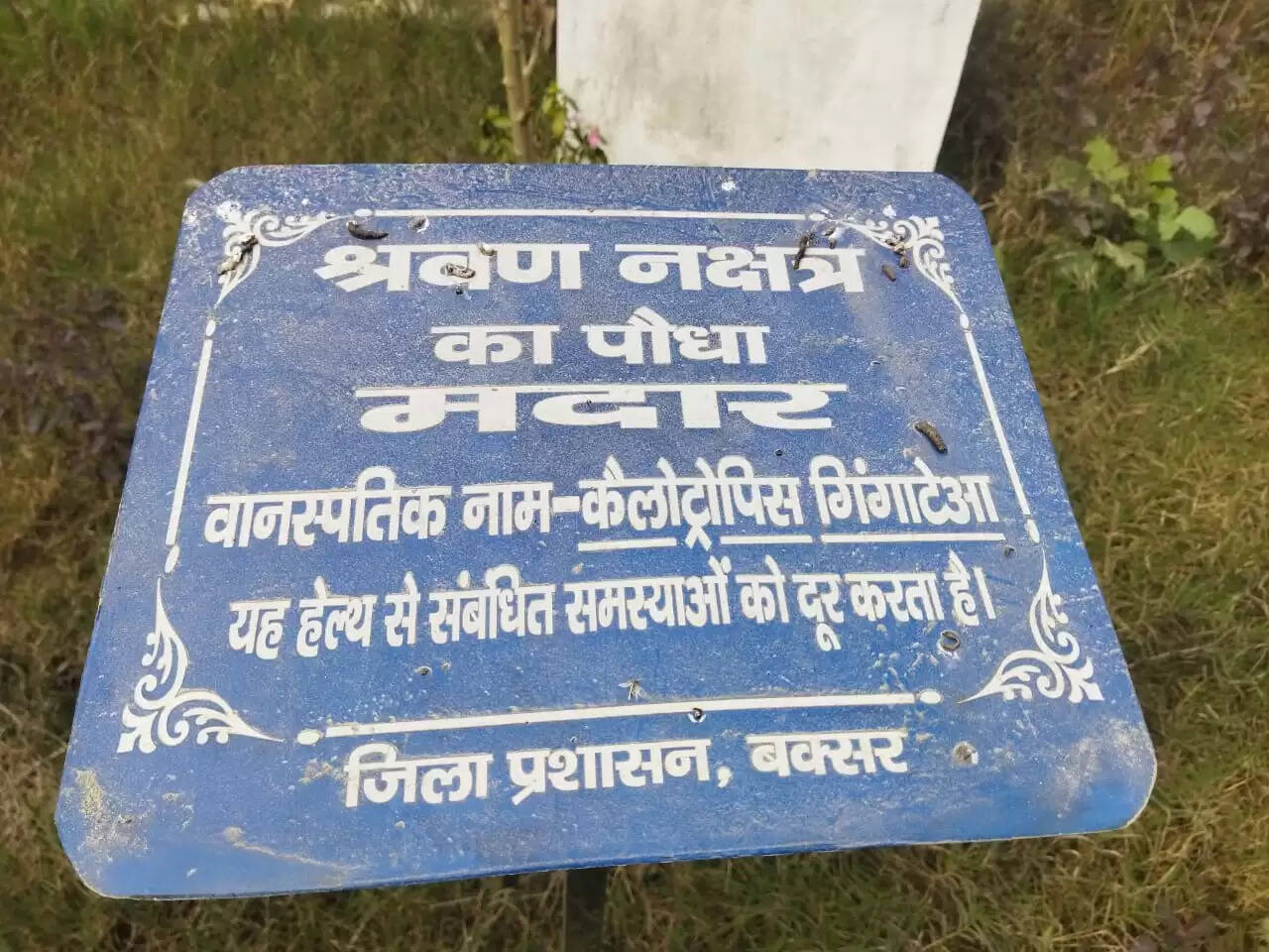 ग्रामीणों को प्रकृति और ज्योतिष से जोड़ रही नक्षत्र वाटिका