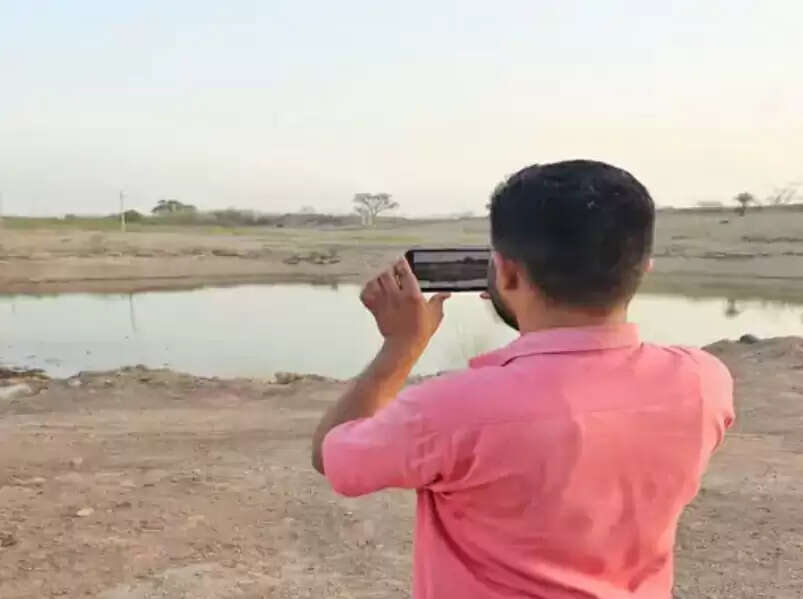 वन्य जीव की तालाब, नाडी पर पेड़ों की छांव में बैठकर गणना : चांदनी रात में मचान में बैठकर भी वनकर्मी ने गणना की