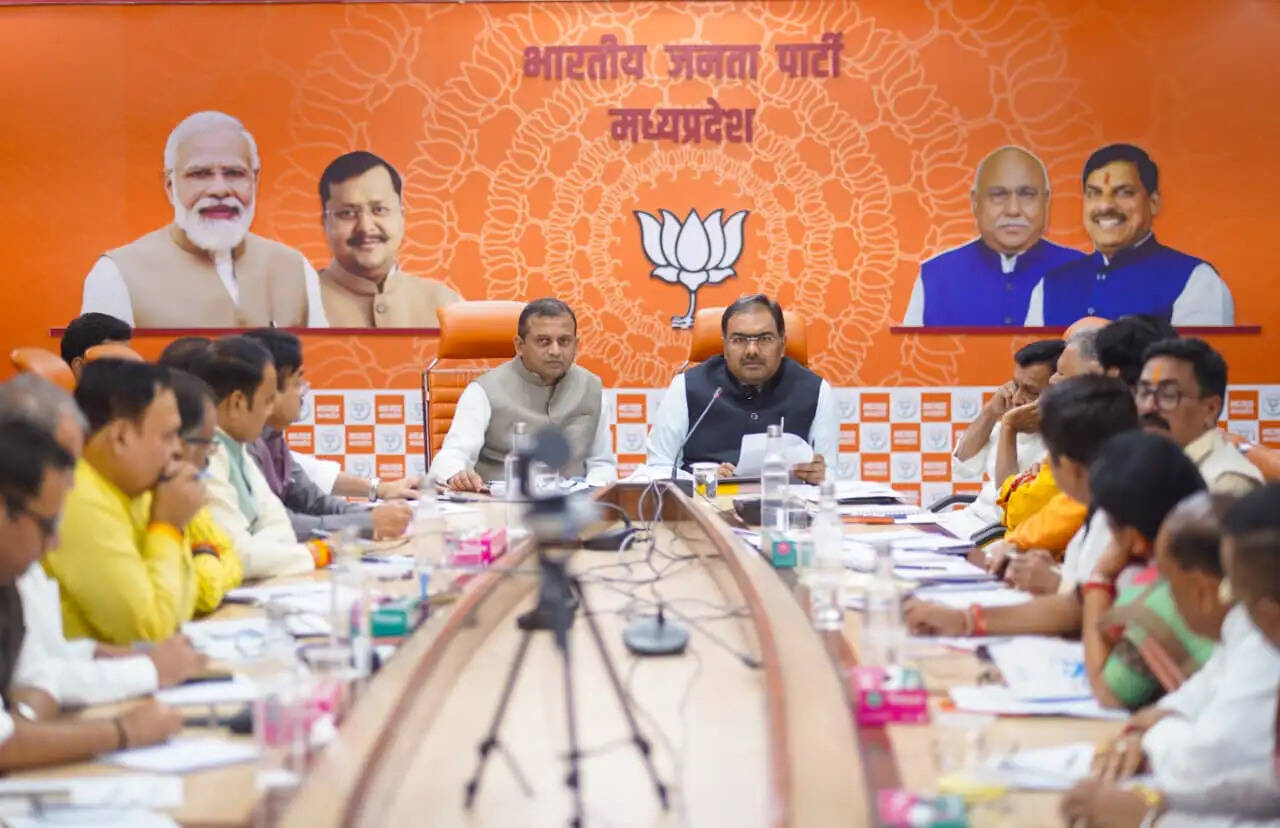 लोकतंत्र बचाओ-भीड़तंत्र हटाओ अभियान बूथ स्तर तक पहुंचाएंगे: हेमंत खंडेलवाल