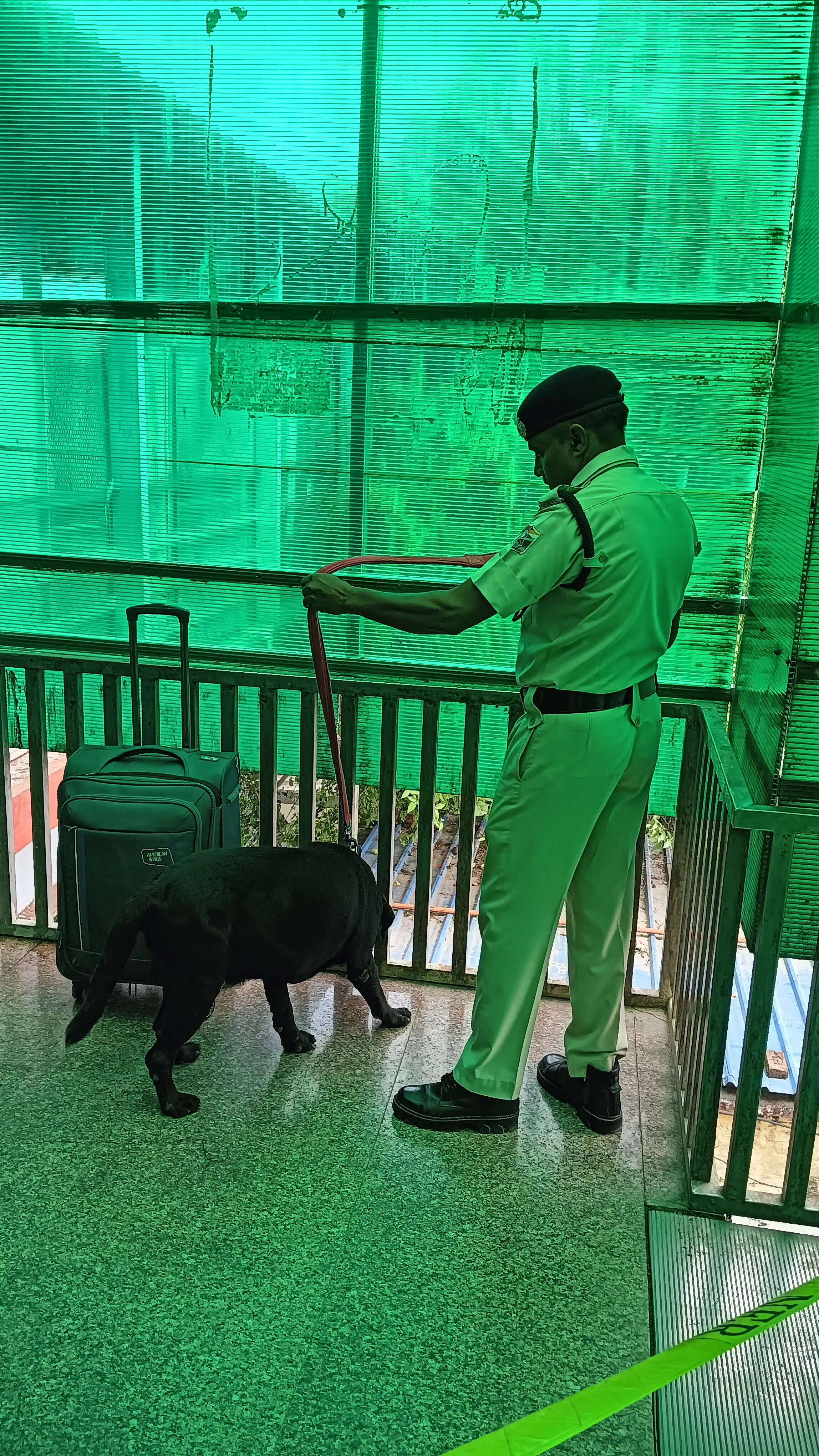 सीवान जंक्शन पर लावारिस ट्रॉली बैग से मचा हड़कंप, डॉग स्क्वॉयड की जांच में नहीं मिला विस्फोटक