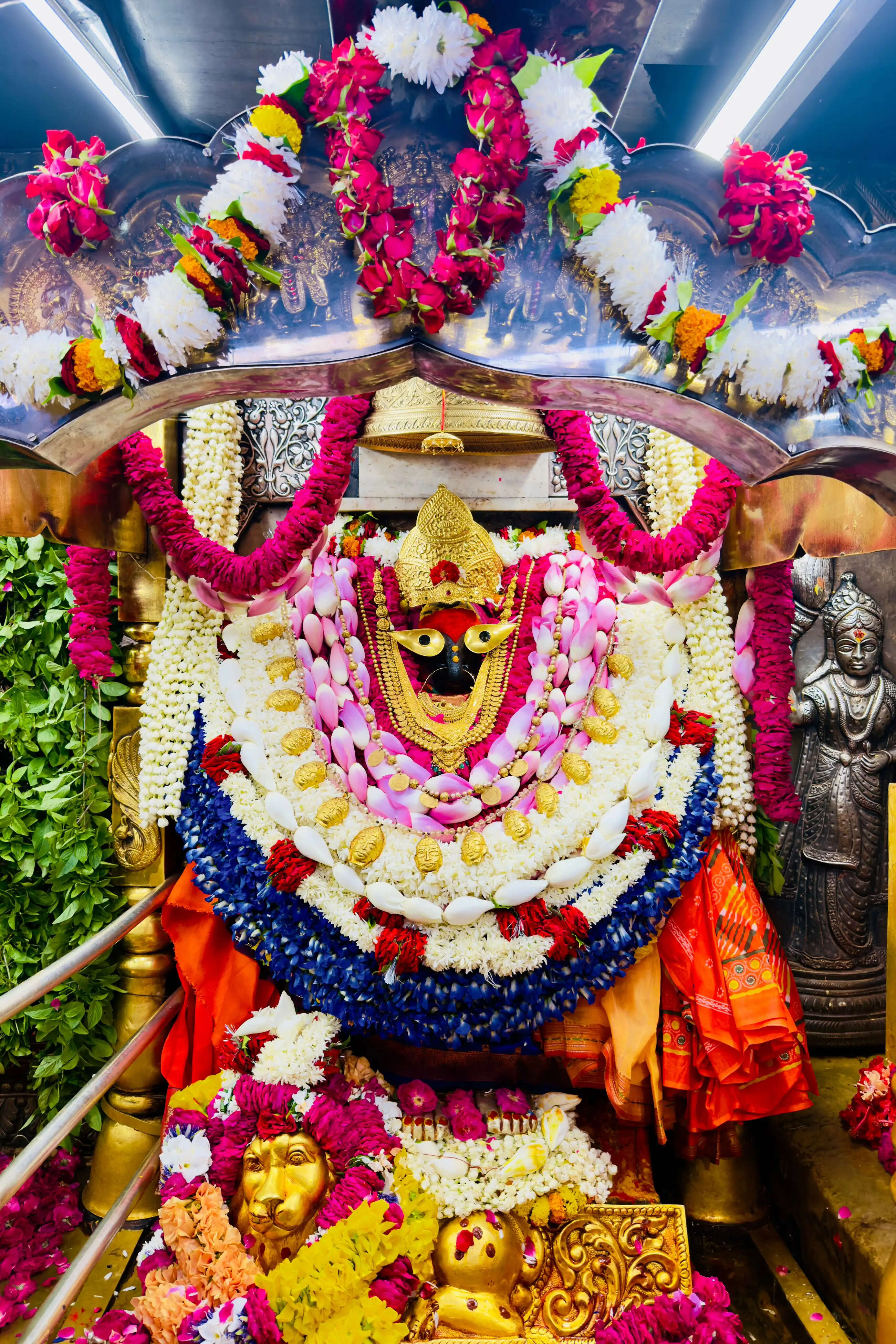 गुरु पूर्णिमा पर उमड़ा आस्था का सैलाब, मां विंध्यवासिनी के दरबार में रिकॉर्ड श्रद्धालुओं की भीड़