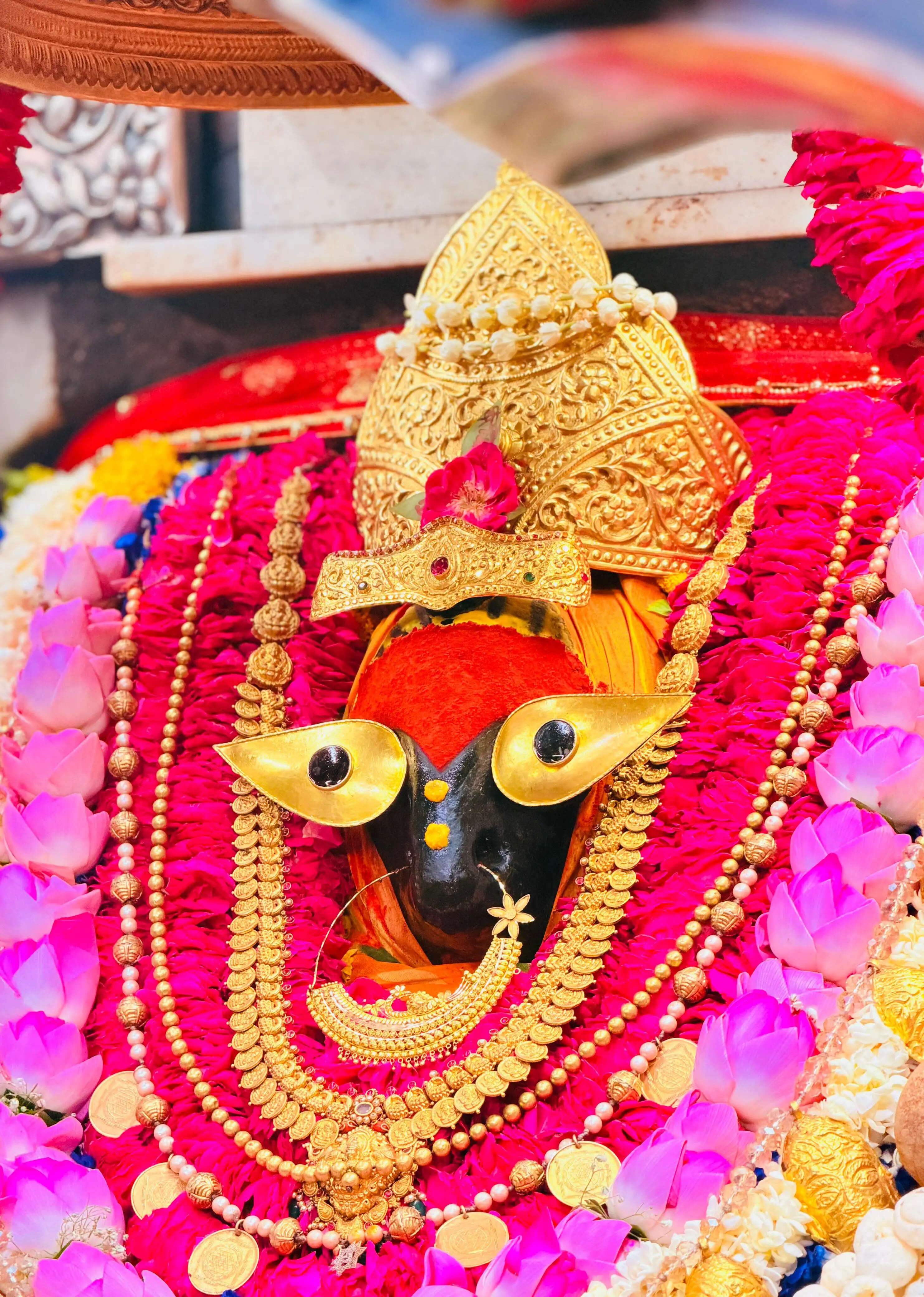 जेष्ठ&nbsp;पूर्णिमा पर मां विंध्यवासिनी धाम में उमड़ा आस्था का सैलाब