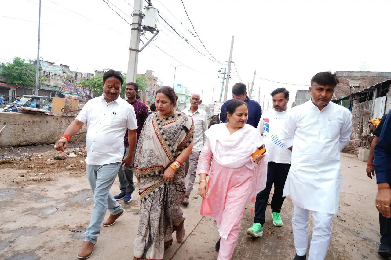 स्थायी समिति अध्यक्ष सत्या शर्मा ने नजफगढ़ जोन के नंगली सकरावती क्षेत्र का किया निरीक्षण