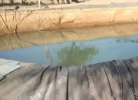 डिग्गी में डूबने से नानी और दोहिते की मौत