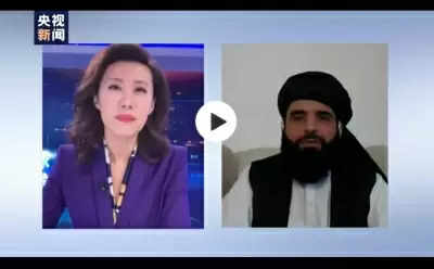 अफगानिस्तान को चीन के साथ सहयोग की उम्मीद : सुहैल शाहीन
