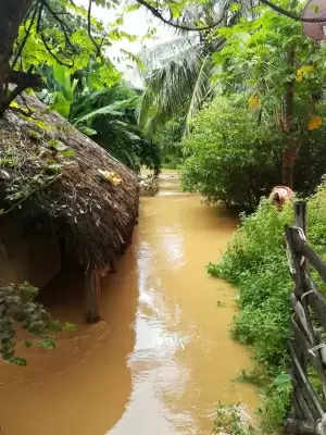 ओडिशा में भारी बारिश से 3 की मौत, 19 लाख से अधिक लोग प्रभावित (लीड-1)
