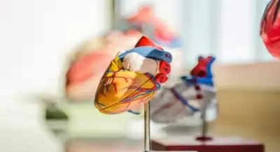 दिल से संबंधित टेस्ट से मिल सकता है कोविड रोगियों में मौत के जोखिम का संकेत : शोध