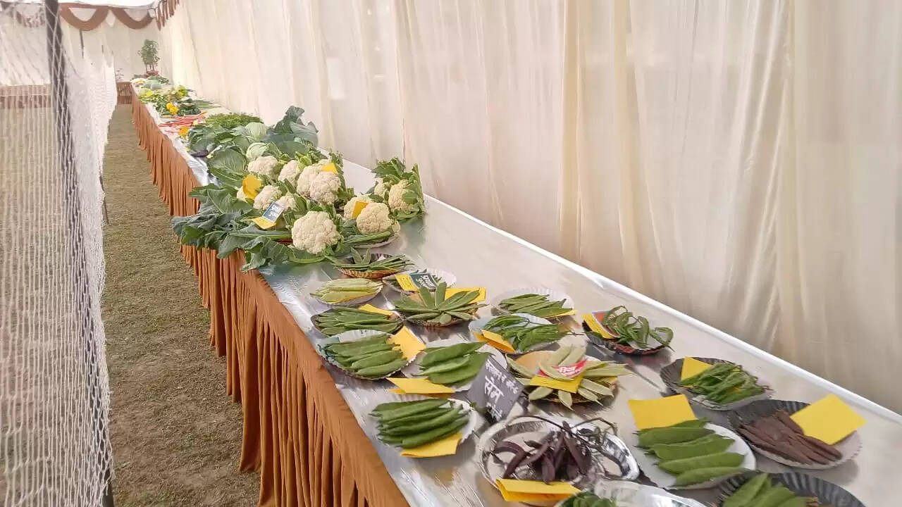  काशी हिंदू विश्वविद्यालय स्थित मालवीय भवन में गुरुवार को विश्वविद्यालय परिवार की ओर से महामना पंडित मदन मोहन मालवीय की जयंती के अवसर पर तीन दिवसीय भव्य पुष्प प्रदर्शनी का शुभारंभ हुआ। यह प्रदर्शनी न केवल बीएचयू की समृद्ध शैक्षणिक और सांस्कृतिक परंपरा को दर्शाती है, बल्कि विज्ञान, प्रकृति और आध्यात्मिकता के सुंदर समन्वय का भी जीवंत उदाहरण प्रस्तुत कर रही है।