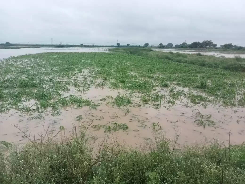 वाराणसी। पतितपावनी मां गंगा काशी में इस समय अपने रौद्र रूप में हैं। बनारस में गंगा का जलस्तर खतरे के निशान से ऊपर पहुंच चुका है। इसके चलते वरूणा भी उफान पर है। शहर के कई इलाके और गांव बाढ़ की चपेट में आ चुके हैं। सड़कें और गलियों में गाड़ी-मोटर की जगह नावें दौड़ रही हैं। वहीं हजारों लोग घर छोड़कर पलायन को विवश हो गए हैं। तस्वीरों में देखिये बनारस में बाढ़ के हालात.....।