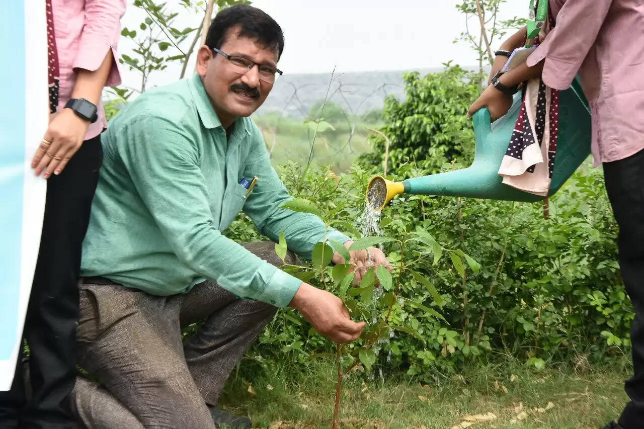 सनबीम भगवानपुर में पौधारोपण अभियान, बच्चों ने मां के नाम पर लगाए 100 पौधे