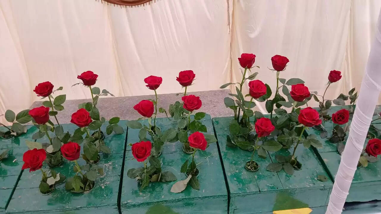  काशी हिंदू विश्वविद्यालय स्थित मालवीय भवन में गुरुवार को विश्वविद्यालय परिवार की ओर से महामना पंडित मदन मोहन मालवीय की जयंती के अवसर पर तीन दिवसीय भव्य पुष्प प्रदर्शनी का शुभारंभ हुआ। यह प्रदर्शनी न केवल बीएचयू की समृद्ध शैक्षणिक और सांस्कृतिक परंपरा को दर्शाती है, बल्कि विज्ञान, प्रकृति और आध्यात्मिकता के सुंदर समन्वय का भी जीवंत उदाहरण प्रस्तुत कर रही है।