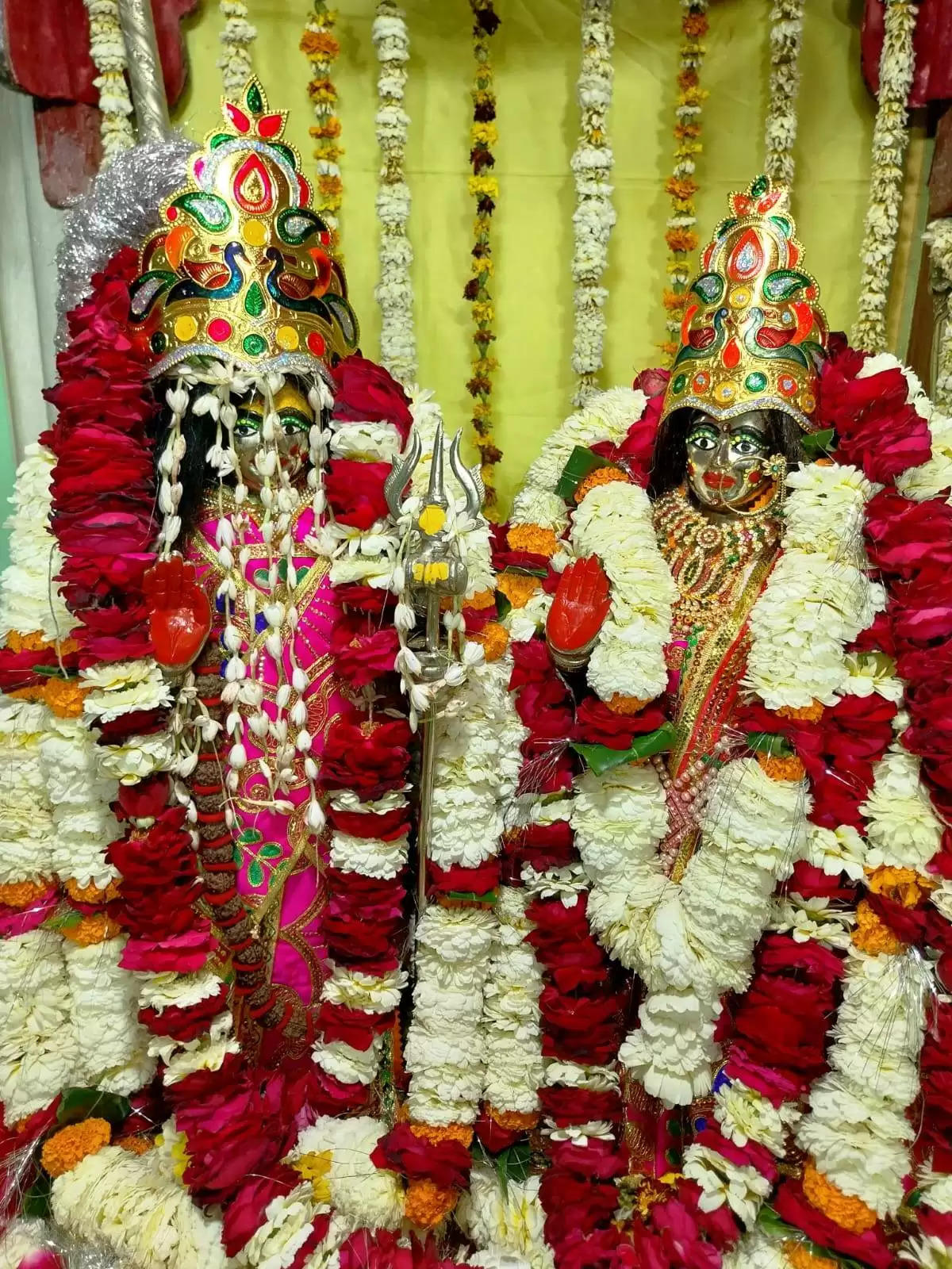 baba kashi vishwanath vivah