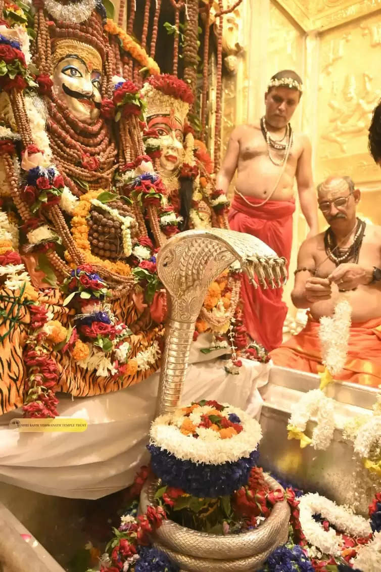 baba vishwanath darshan