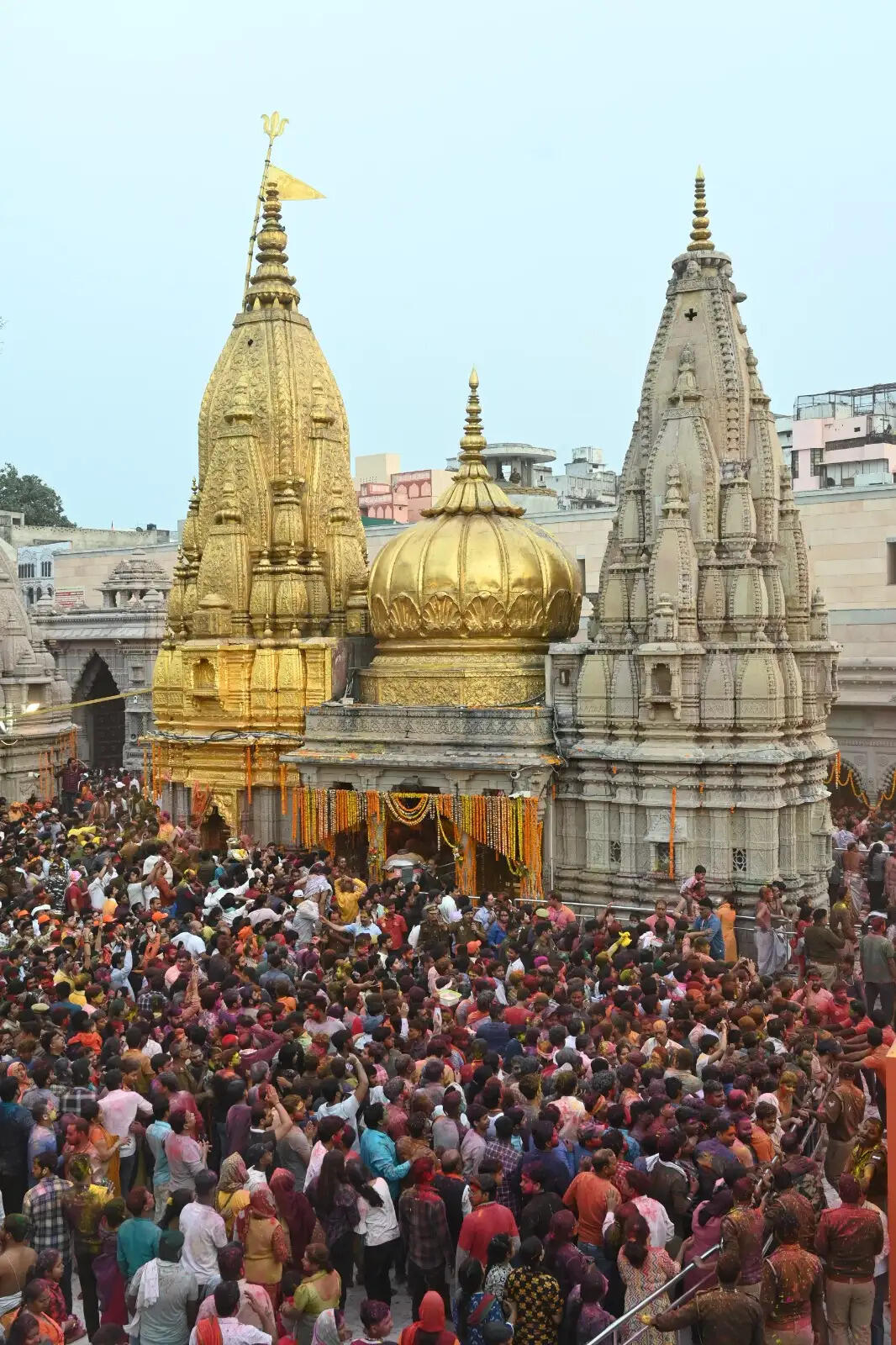 काशी विश्वनाथ मंदिर कॉरिडोर निर्माण के बाद श्रद्धालुओं की संख्या में भारी वृद्धि, जानिए अब तक कितने श्रद्धालुओं ने बाबा दरबार में लगाई हाजिरी