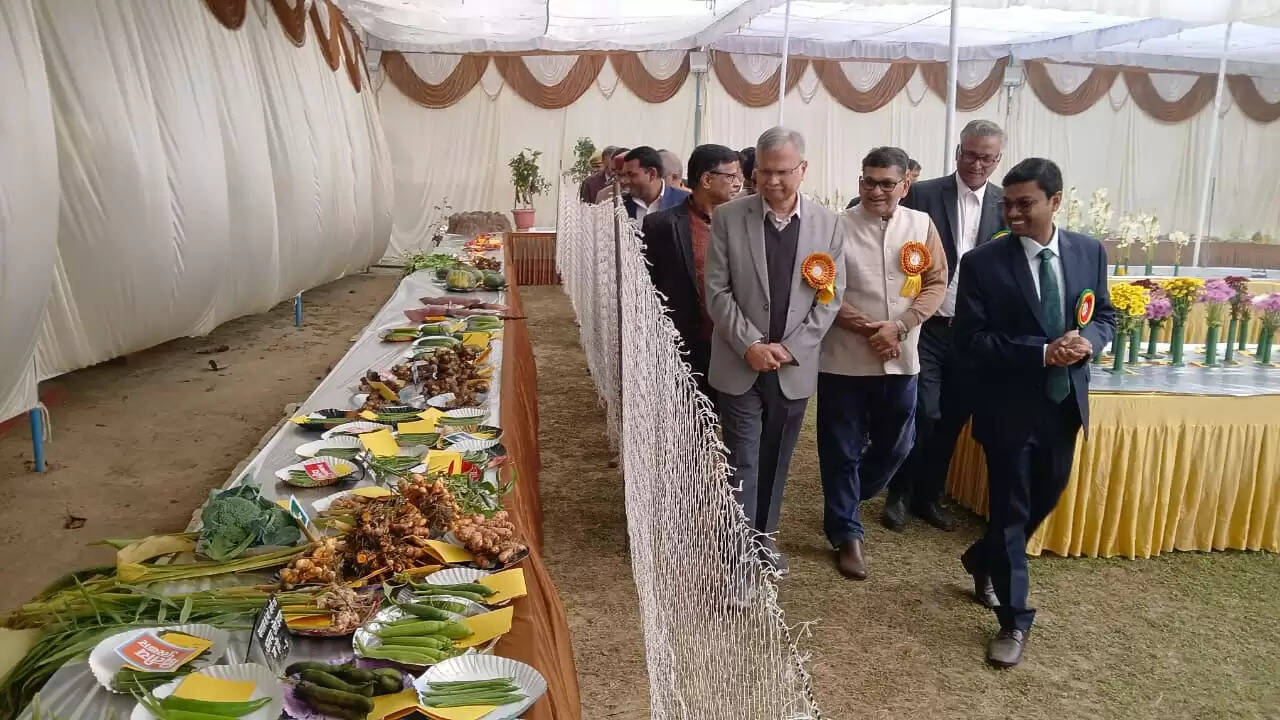  काशी हिंदू विश्वविद्यालय स्थित मालवीय भवन में गुरुवार को विश्वविद्यालय परिवार की ओर से महामना पंडित मदन मोहन मालवीय की जयंती के अवसर पर तीन दिवसीय भव्य पुष्प प्रदर्शनी का शुभारंभ हुआ। यह प्रदर्शनी न केवल बीएचयू की समृद्ध शैक्षणिक और सांस्कृतिक परंपरा को दर्शाती है, बल्कि विज्ञान, प्रकृति और आध्यात्मिकता के सुंदर समन्वय का भी जीवंत उदाहरण प्रस्तुत कर रही है।