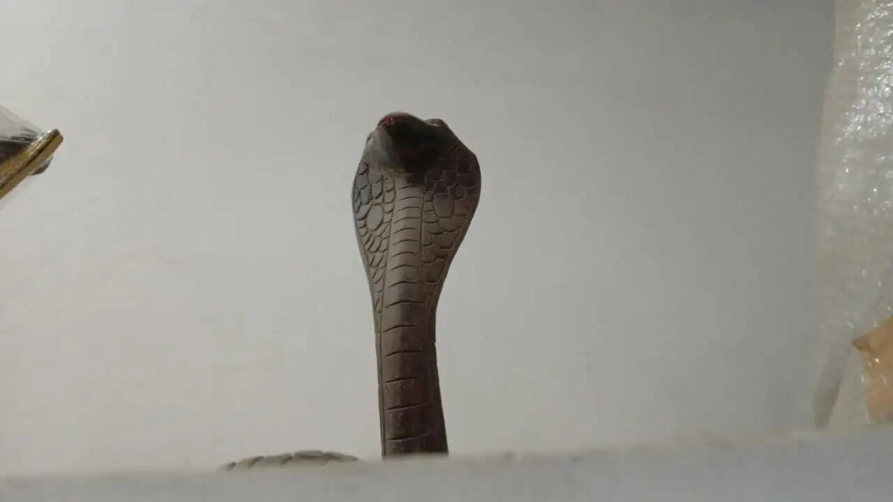 123