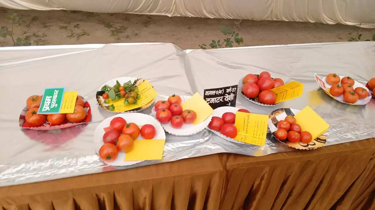  काशी हिंदू विश्वविद्यालय स्थित मालवीय भवन में गुरुवार को विश्वविद्यालय परिवार की ओर से महामना पंडित मदन मोहन मालवीय की जयंती के अवसर पर तीन दिवसीय भव्य पुष्प प्रदर्शनी का शुभारंभ हुआ। यह प्रदर्शनी न केवल बीएचयू की समृद्ध शैक्षणिक और सांस्कृतिक परंपरा को दर्शाती है, बल्कि विज्ञान, प्रकृति और आध्यात्मिकता के सुंदर समन्वय का भी जीवंत उदाहरण प्रस्तुत कर रही है।