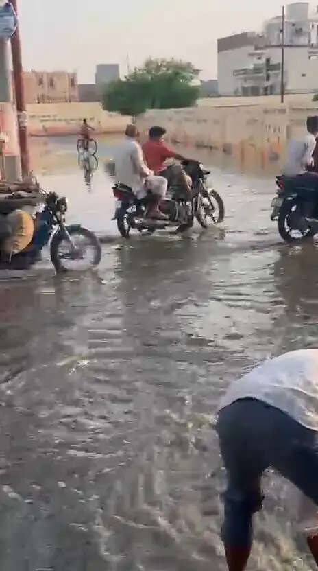 गंदगी और बदबू से लोग बेहाल