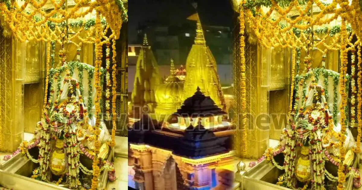 काशी विश्वनाथ मंदिर कॉरिडोर निर्माण के बाद श्रद्धालुओं की संख्या में भारी वृद्धि, जानिए अब तक कितने श्रद्धालुओं ने बाबा दरबार में लगाई हाजिरी
