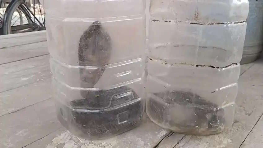 123