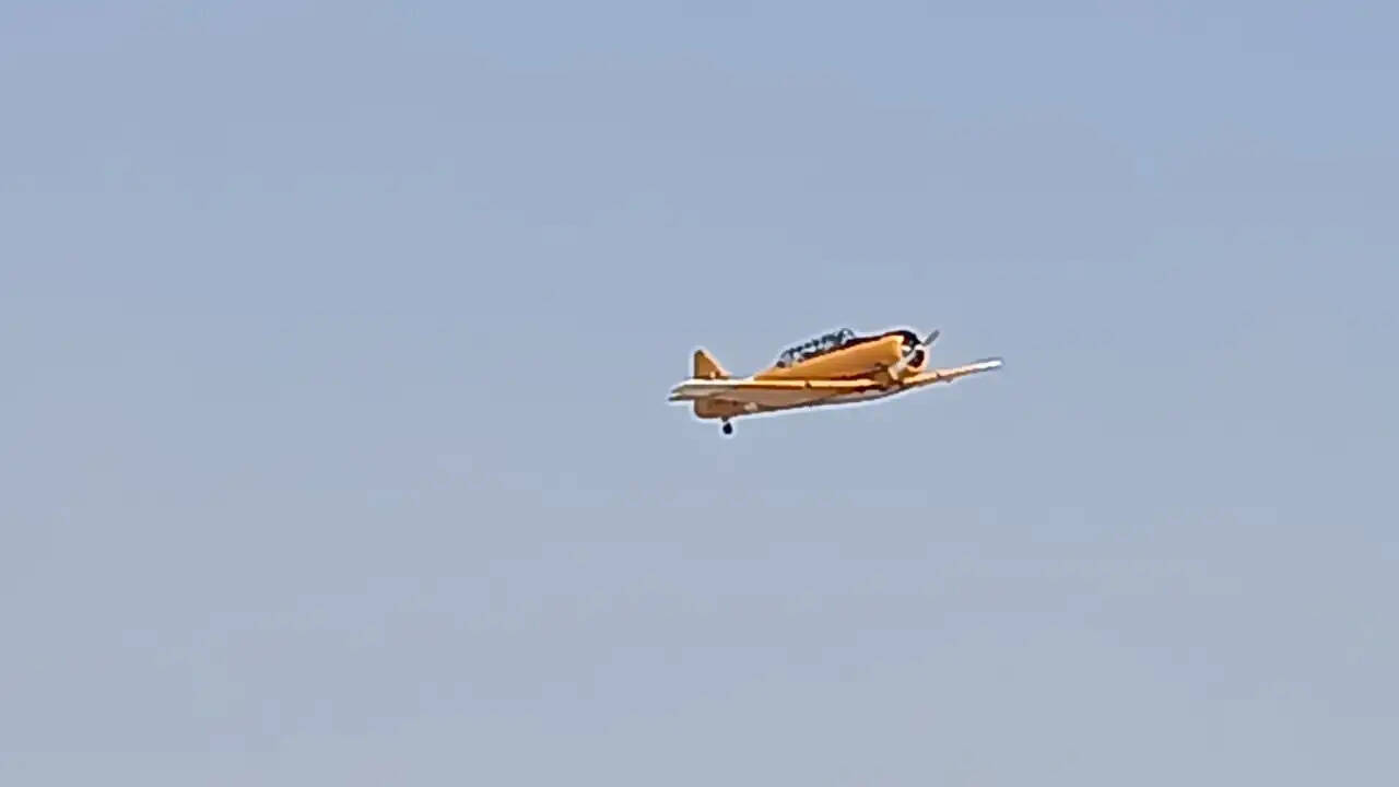123
