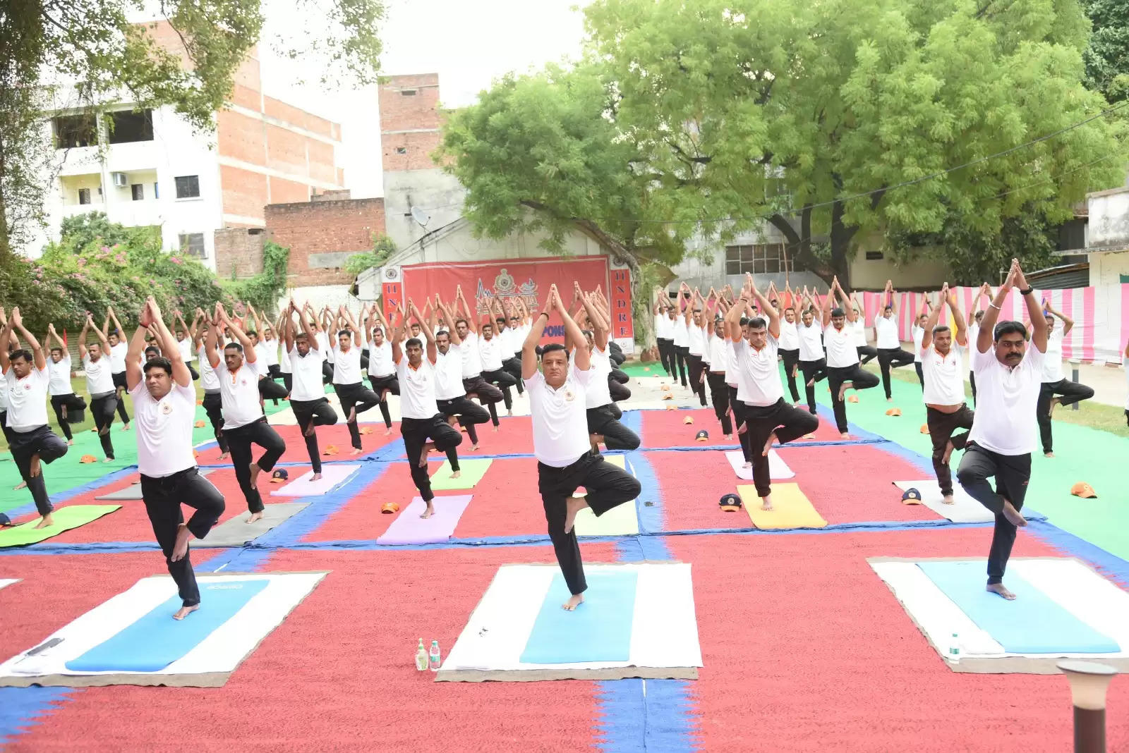 International Yoga Day