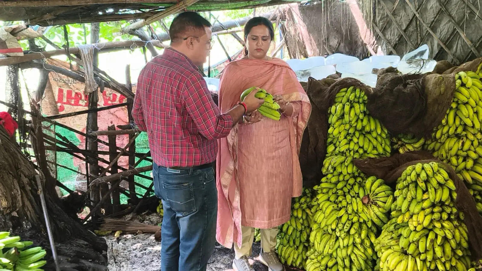 केले पकाने वाले 25 केंद्र बिना लाइसेंस संचालित, एफएसडीए की प्रदेशव्यापी जांच में खुली पोल