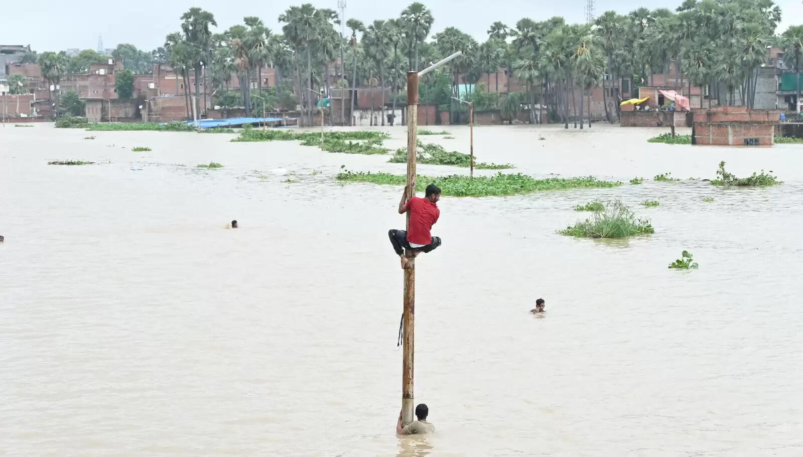 Varanasi flood : बनारस में बाढ़ की आफत, सड़कें और कॉलोनियां पानी-पानी, तस्वीरों में देखिये हालात