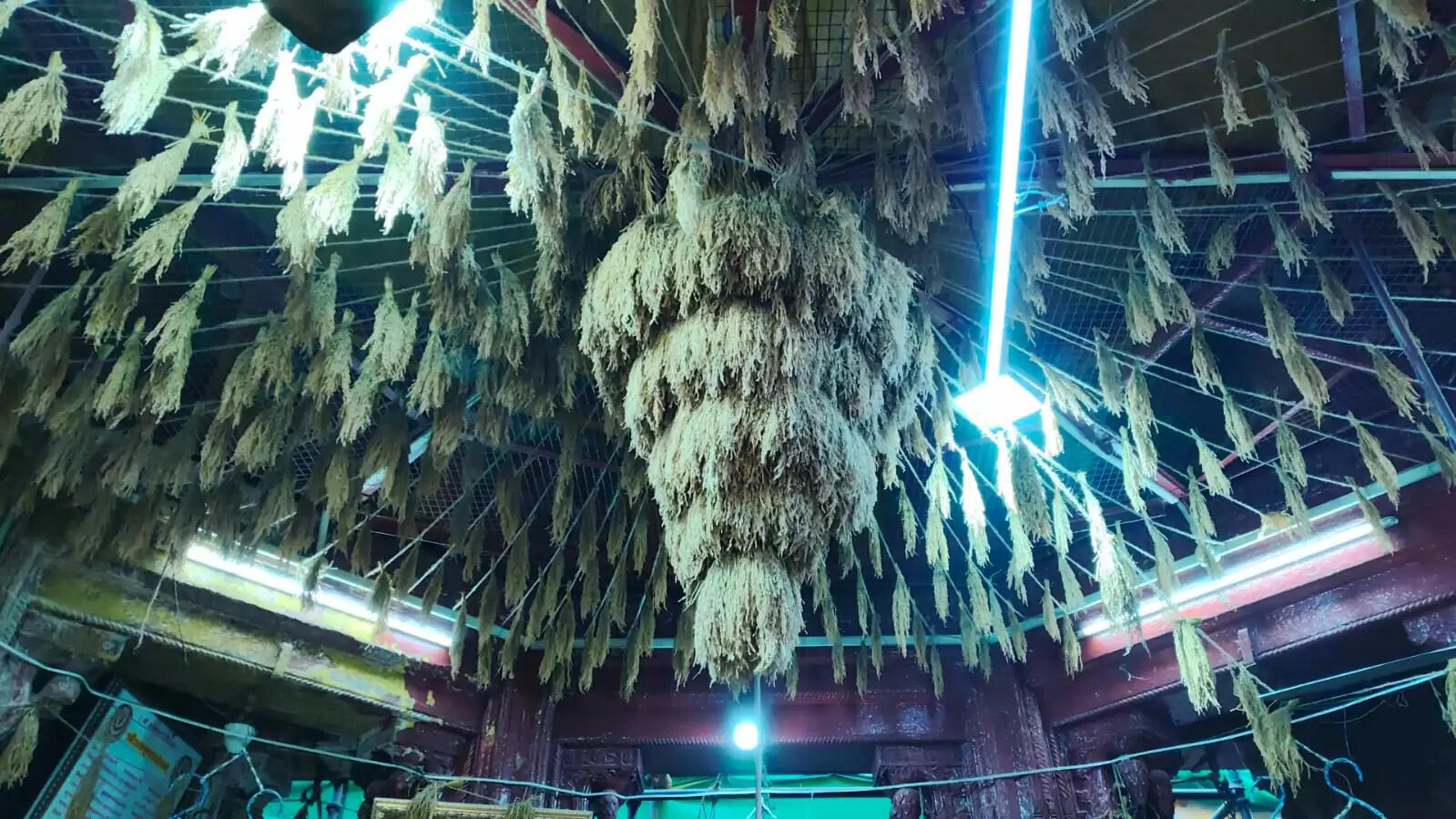 अन्नपूर्णा के 17 दिवसीय महाव्रत का आज होगा समापन, धान की बालियों से सजाया गया है गर्भगृह