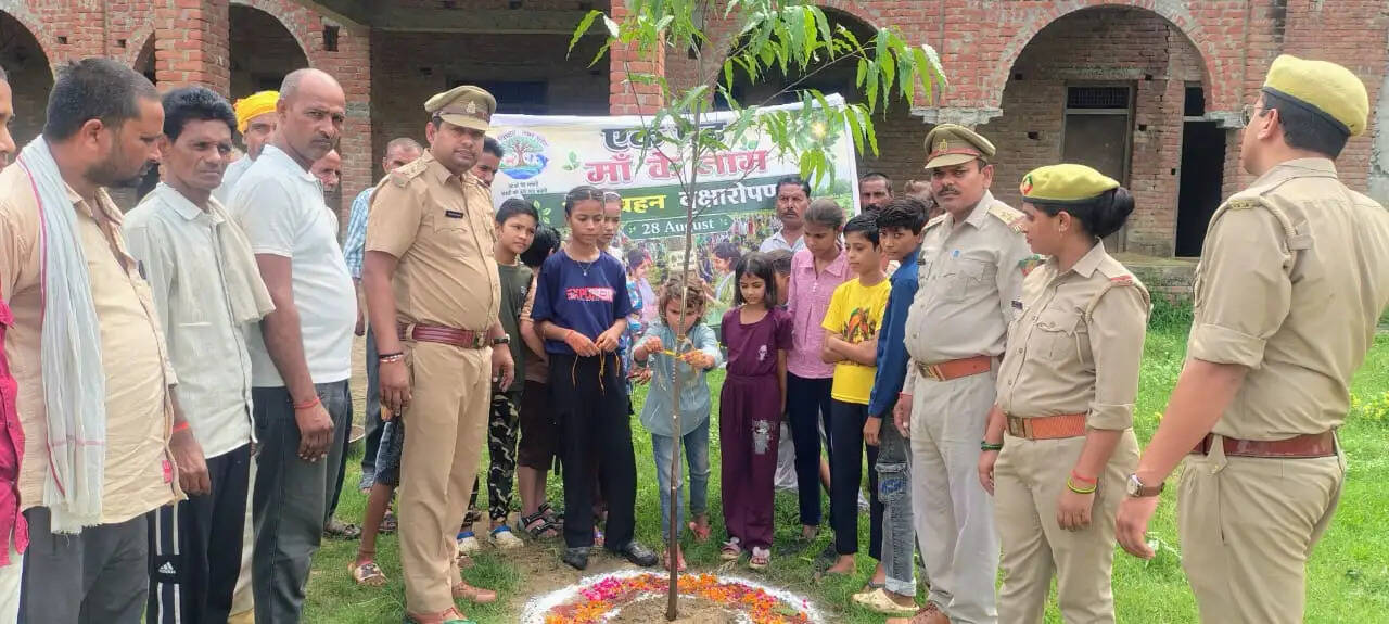 रक्षाबंधन के पर्व पर भाई-बहनों ने लगाए एक लाख से अधिक पौधे&nbsp;