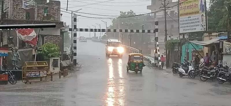 Rain