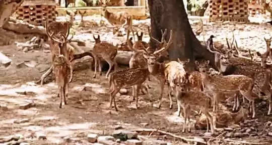 sarnath park