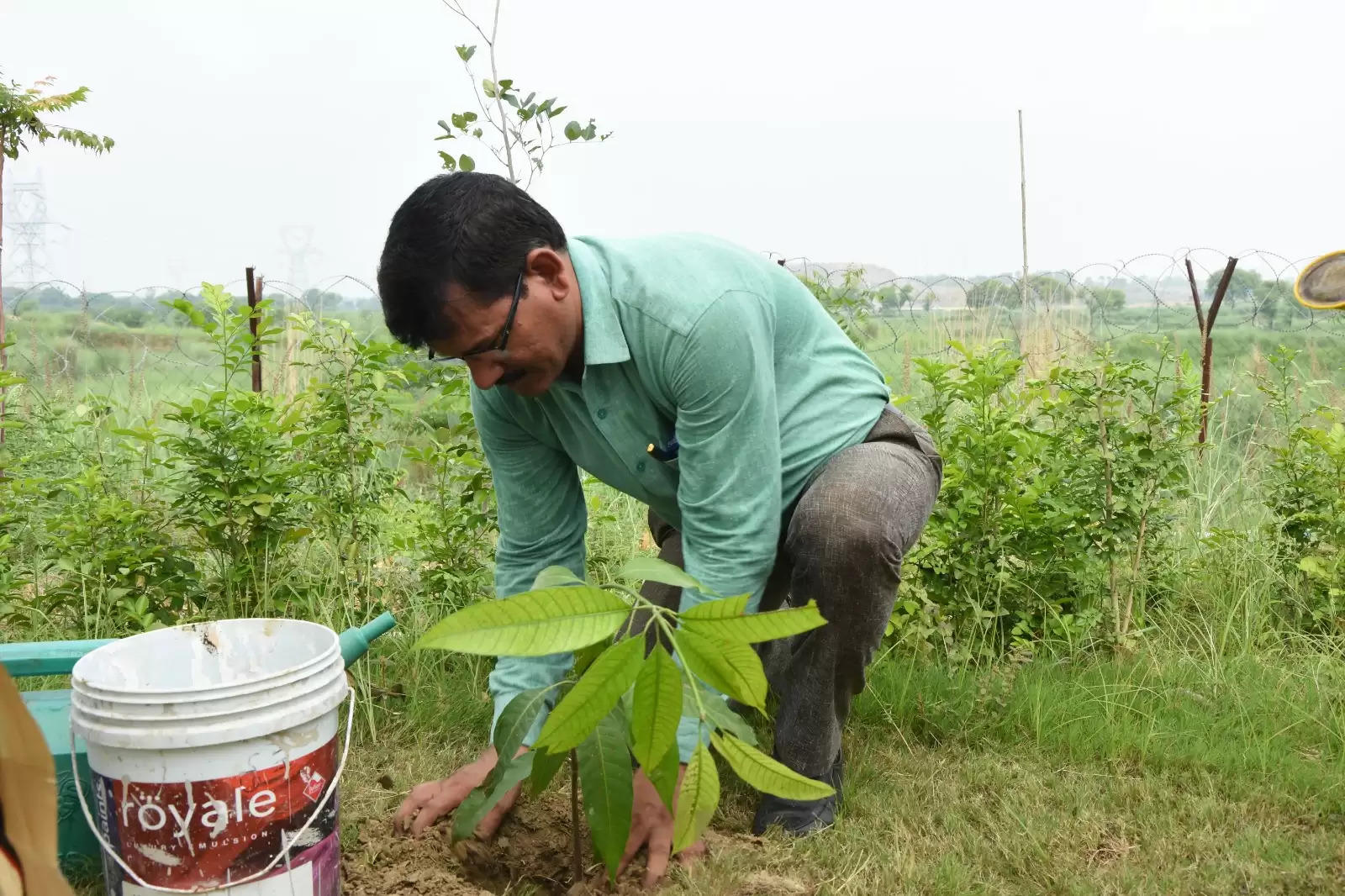 सनबीम भगवानपुर में पौधारोपण अभियान, बच्चों ने मां के नाम पर लगाए 100 पौधे