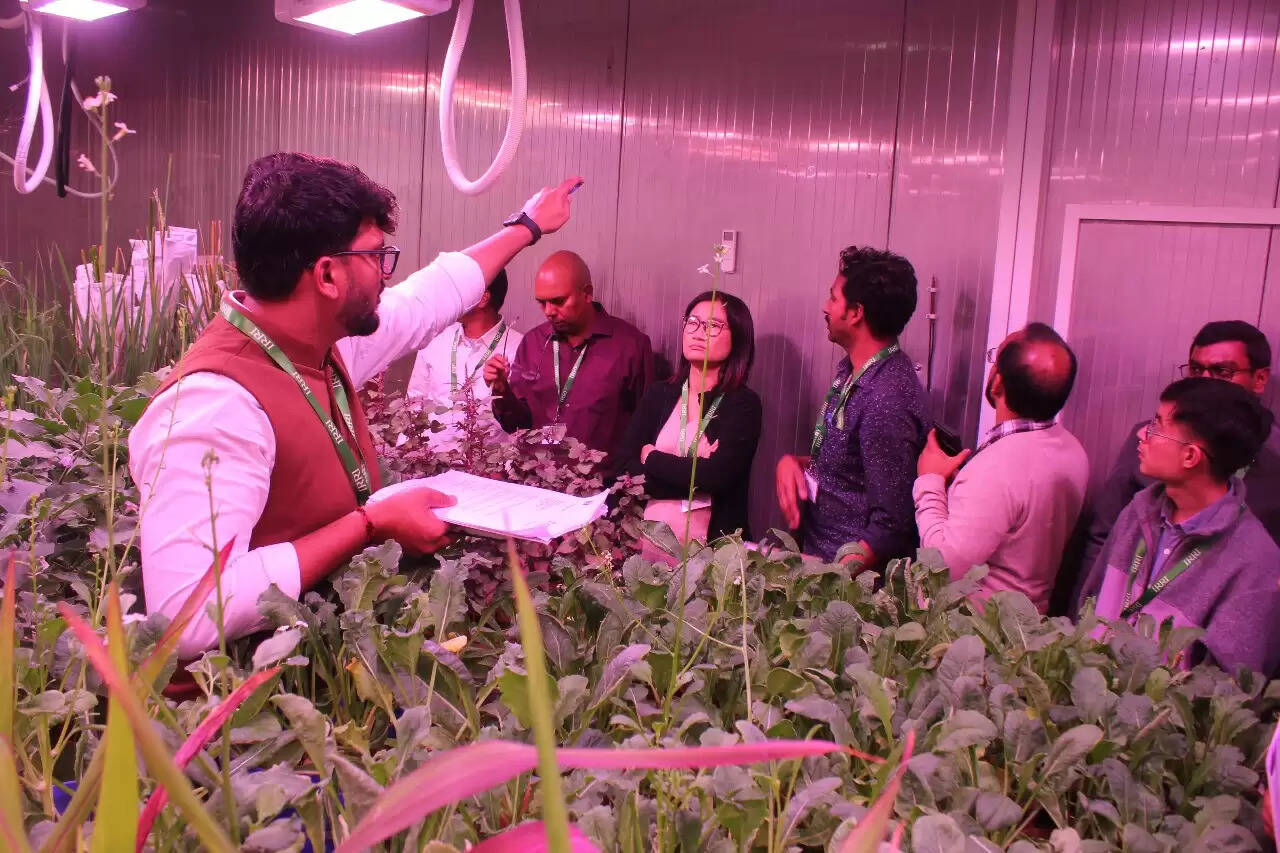 आइसार्क में फसल प्रजनन को गति देने हेतु तीन दिवसीय स्पीड ब्रीडिंग प्रशिक्षण कार्यक्रम आरंभ