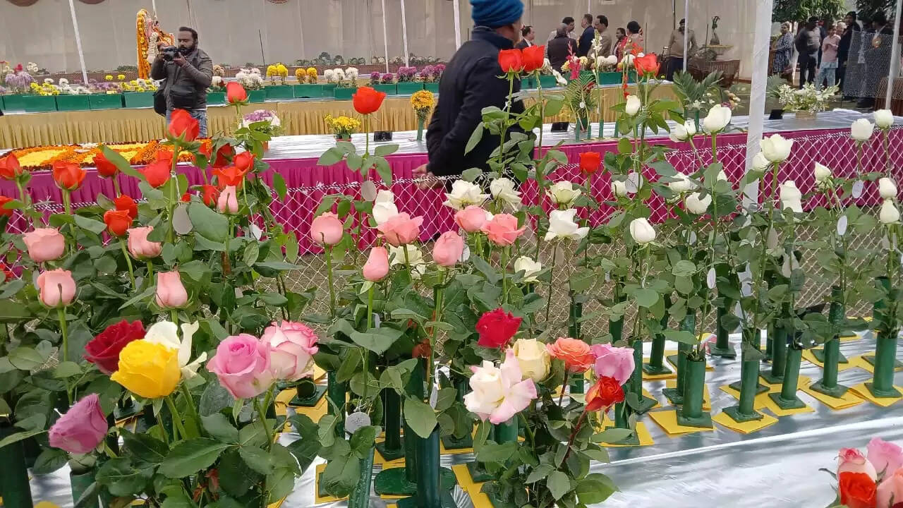  काशी हिंदू विश्वविद्यालय स्थित मालवीय भवन में गुरुवार को विश्वविद्यालय परिवार की ओर से महामना पंडित मदन मोहन मालवीय की जयंती के अवसर पर तीन दिवसीय भव्य पुष्प प्रदर्शनी का शुभारंभ हुआ। यह प्रदर्शनी न केवल बीएचयू की समृद्ध शैक्षणिक और सांस्कृतिक परंपरा को दर्शाती है, बल्कि विज्ञान, प्रकृति और आध्यात्मिकता के सुंदर समन्वय का भी जीवंत उदाहरण प्रस्तुत कर रही है।