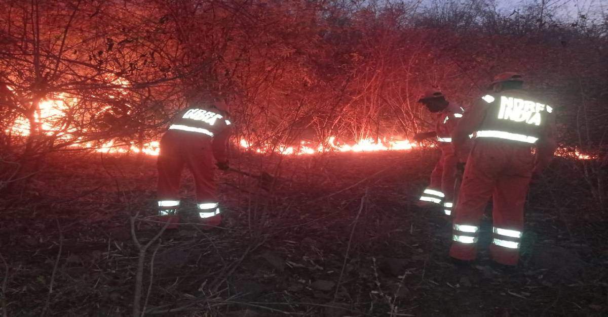 मिर्जापुर के जंगलों में लगी भीषण आग, प्रशासन के साथ एनडीआरएफ ने संभाला मोर्चा