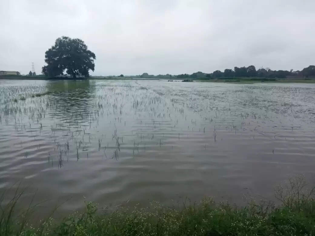 वाराणसी। पतितपावनी मां गंगा काशी में इस समय अपने रौद्र रूप में हैं। बनारस में गंगा का जलस्तर खतरे के निशान से ऊपर पहुंच चुका है। इसके चलते वरूणा भी उफान पर है। शहर के कई इलाके और गांव बाढ़ की चपेट में आ चुके हैं। सड़कें और गलियों में गाड़ी-मोटर की जगह नावें दौड़ रही हैं। वहीं हजारों लोग घर छोड़कर पलायन को विवश हो गए हैं। तस्वीरों में देखिये बनारस में बाढ़ के हालात.....।