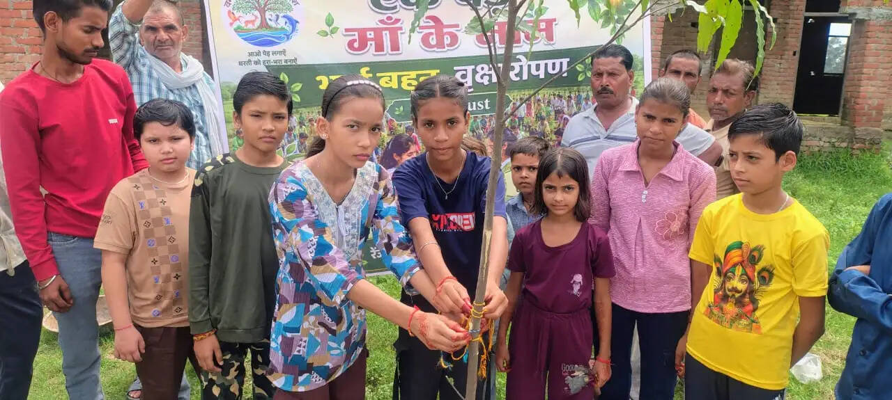 रक्षाबंधन के पर्व पर भाई-बहनों ने लगाए एक लाख से अधिक पौधे&nbsp;