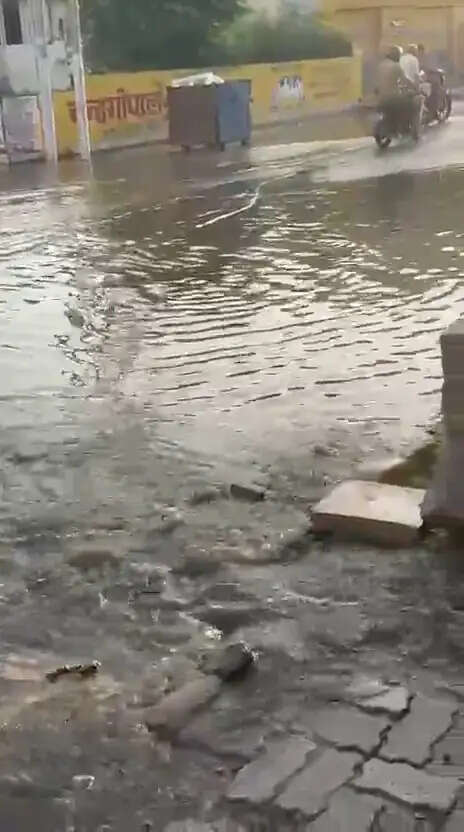 गंदगी और बदबू से लोग बेहाल