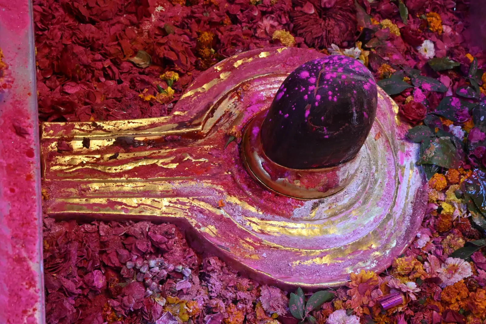 रंगभरी एकादशी 2026