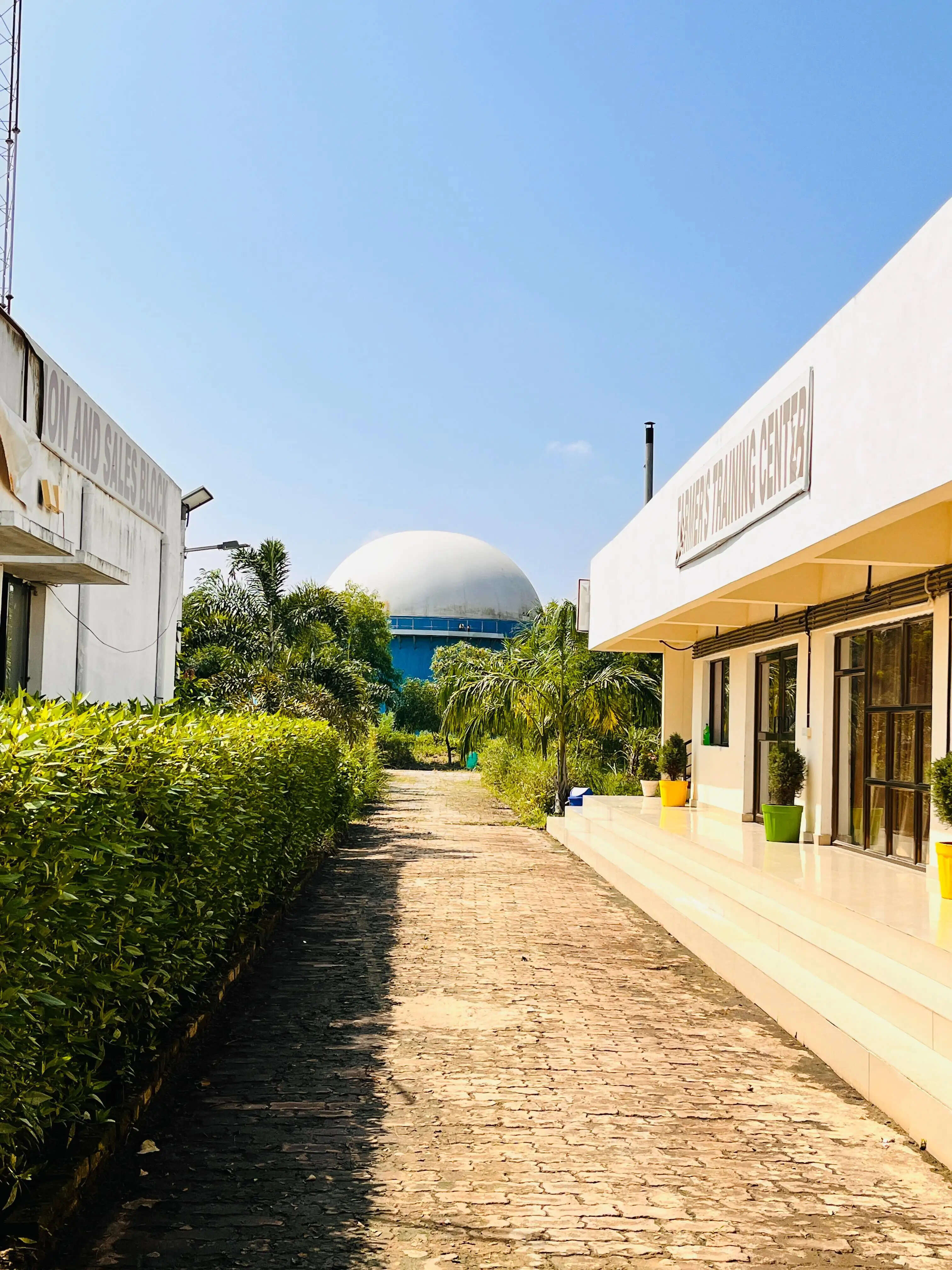 योगी सरकार के नेतृत्व में संचालित गोवर्धन योजना किसानों के लिए आय का सशक्त स्रोत बनकर उभर रही है। यह योजना न केवल किसानों की आर्थिक स्थिति को सुदृढ़ कर रही है, बल्कि जैविक खेती और पर्यावरण संरक्षण को भी बढ़ावा दे रही है। यह पहल कार्बन उत्सर्जन को कम कर पर्यावरण की सुरक्षा एवं सतत विकास को बढ़ावा दे रही है।