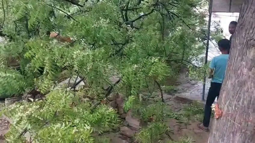 ऊपर दी गई जानकारी के अनुसार हिन्दी में समाचार बनाओ आकर्षक हेडिंग के साथ।