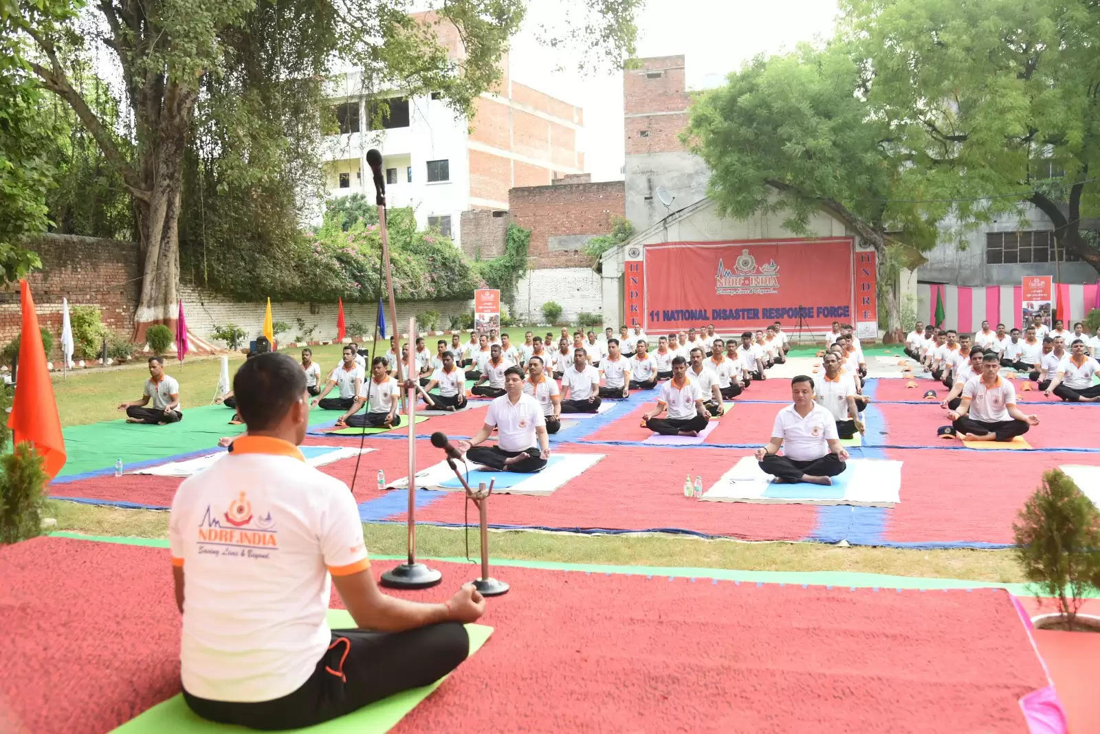 International Yoga Day