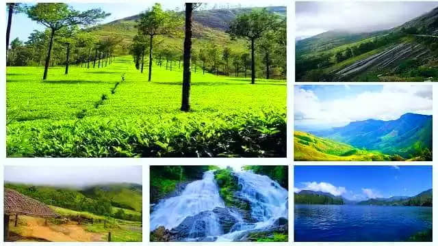 munnar