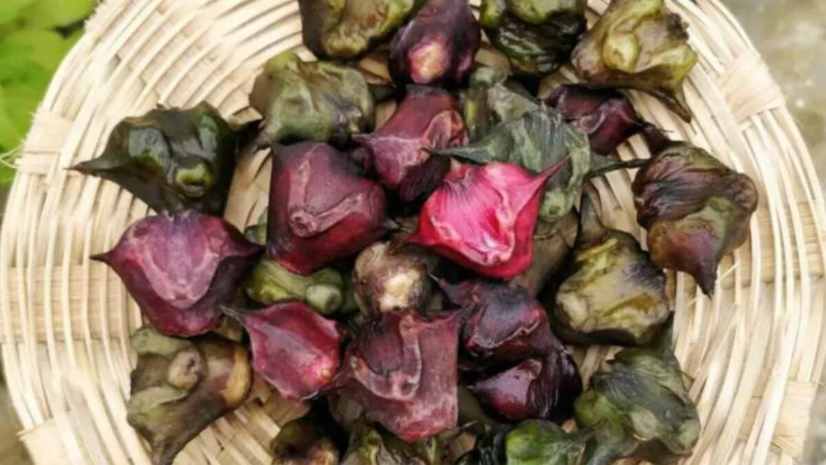 सर्दियों में लोकप्रिय सिंघाड़ा: जानिए इसके सेवन के फायदे और जरूरी सावधानियां